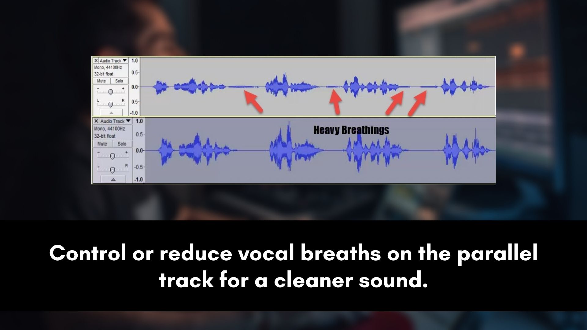 vocal breaths